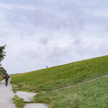 Seebreeze 50 2 N Schillig