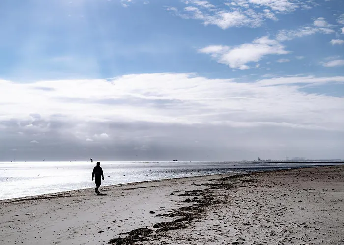 Daire Seebreeze 50 2 N