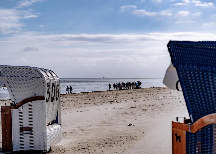 Daire Seebreeze 50 2 N Schillig